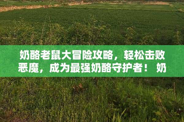 奶酪老鼠大冒险攻略，轻松击败恶魔，成为最强奶酪守护者！ 奶酪老鼠攻略