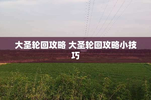大圣轮回攻略 大圣轮回攻略小技巧