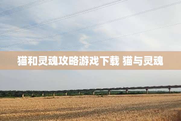 猫和灵魂攻略游戏下载 猫与灵魂