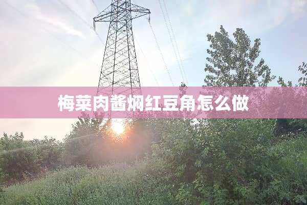 梅菜肉酱焖红豆角怎么做