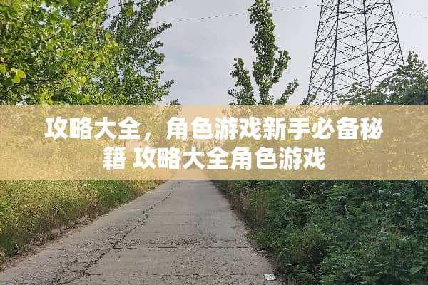 攻略大全，角色游戏新手必备秘籍 攻略大全角色游戏