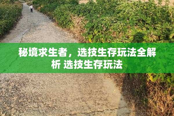 秘境求生者，选技生存玩法全解析 选技生存玩法