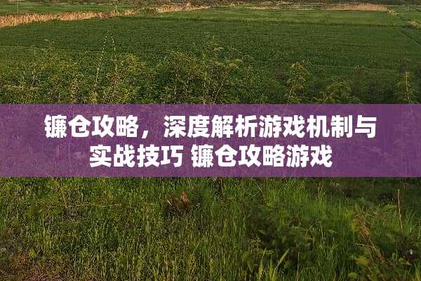 镰仓攻略，深度解析游戏机制与实战技巧 镰仓攻略游戏