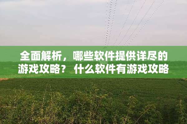 全面解析，哪些软件提供详尽的游戏攻略？ 什么软件有游戏攻略