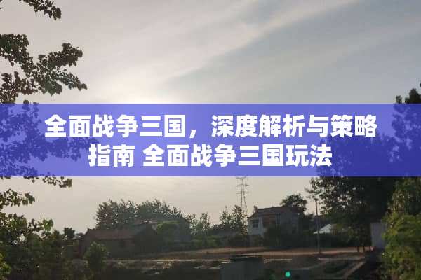 全面战争三国，深度解析与策略指南 全面战争三国玩法