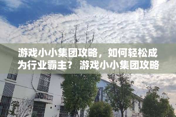 游戏小小集团攻略，如何轻松成为行业霸主？ 游戏小小集团攻略