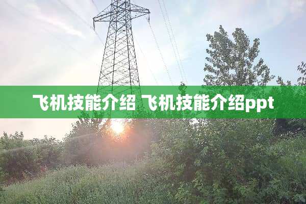 飞机技能介绍 飞机技能介绍ppt