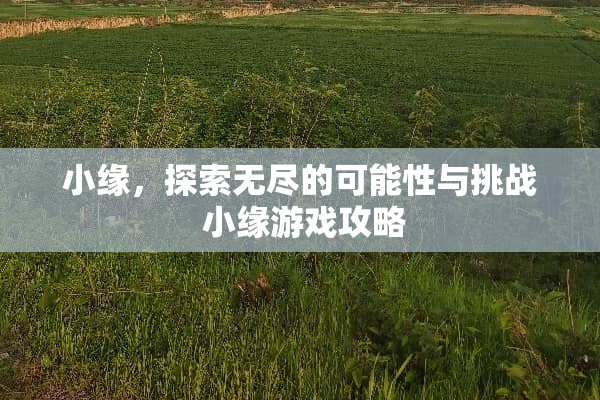 小缘，探索无尽的可能性与挑战 小缘游戏攻略