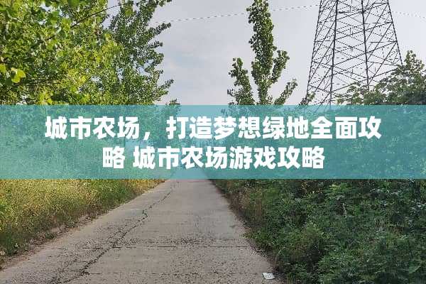 城市农场，打造梦想绿地全面攻略 城市农场游戏攻略