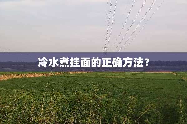 冷水煮挂面的正确方法？