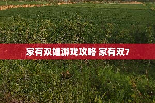 家有双娃游戏攻略 家有双7
