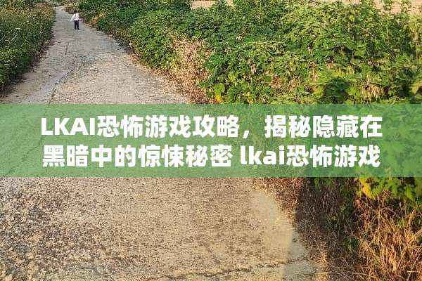 LKAI恐怖游戏攻略，揭秘隐藏在黑暗中的惊悚秘密 lkai恐怖游戏攻略