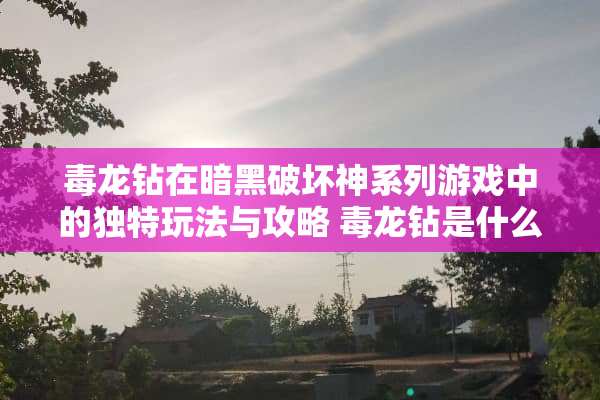 **钻在暗黑破坏神系列游戏中的独特玩法与攻略 **钻是什么玩法