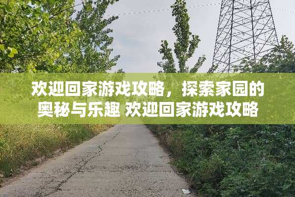 欢迎回家游戏攻略，探索家园的奥秘与乐趣 欢迎回家游戏攻略