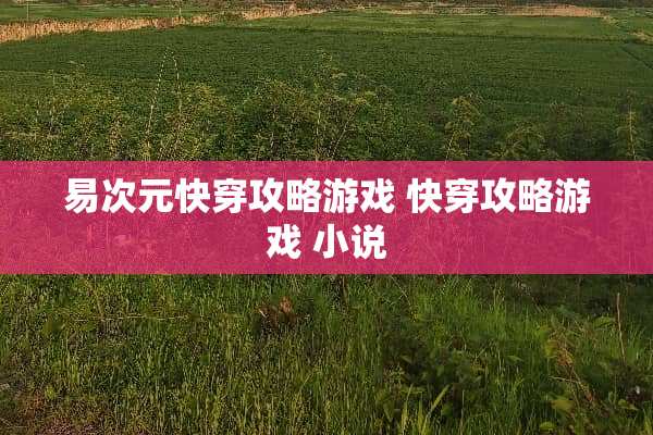 易次元快穿攻略游戏 快穿攻略游戏 小说