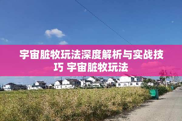 宇宙脏牧玩法深度解析与实战技巧 宇宙脏牧玩法