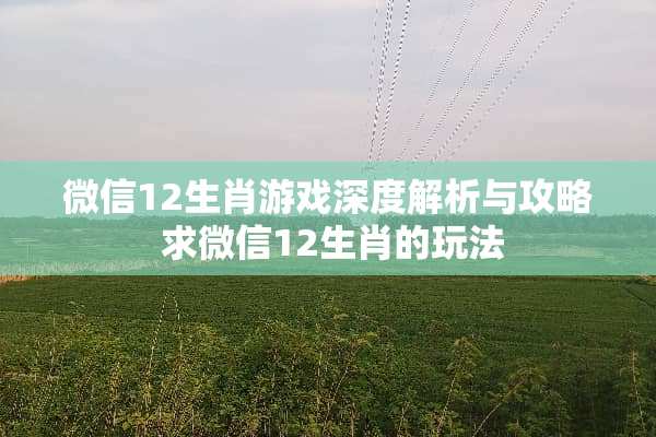 微信12生肖游戏深度解析与攻略 求微信12生肖的玩法