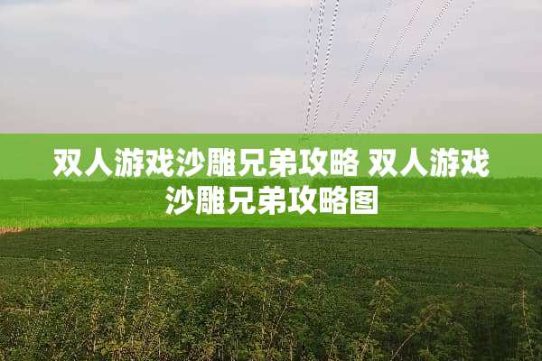 双人游戏沙雕兄弟攻略 双人游戏沙雕兄弟攻略图