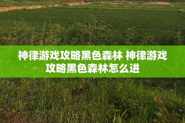 神律游戏攻略黑色森林 神律游戏攻略黑色森林怎么进