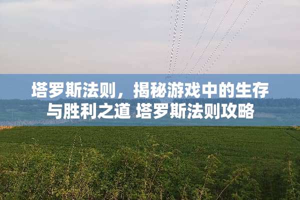 塔罗斯法则，揭秘游戏中的生存与胜利之道 塔罗斯法则攻略