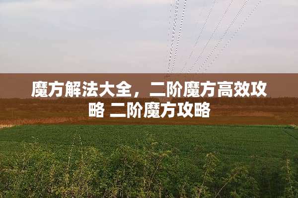 魔方解法大全，二阶魔方高效攻略 二阶魔方攻略