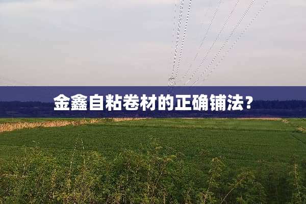 金鑫自粘卷材的正确铺法？