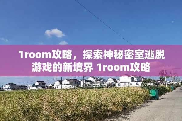 1room攻略，探索神秘密室逃脱游戏的新境界 1room攻略