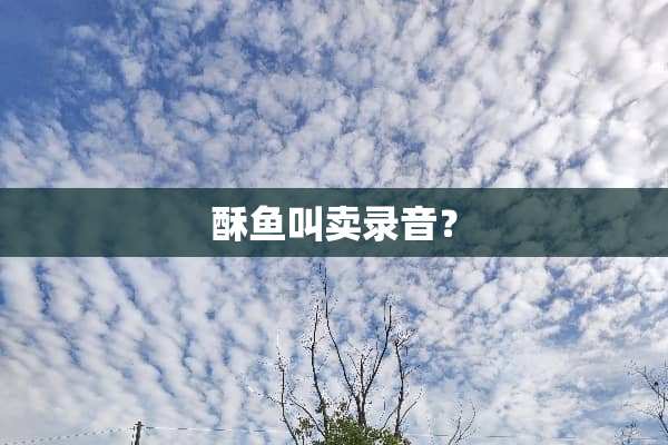 酥鱼叫卖录音？