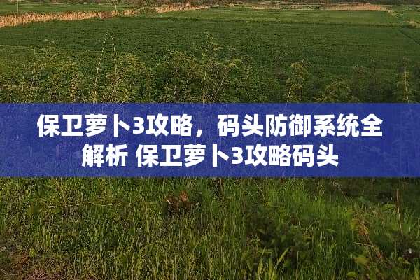 保卫萝卜3攻略，码头防御系统全解析 保卫萝卜3攻略码头