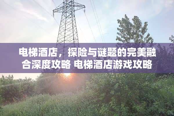 电梯酒店，探险与谜题的完美融合深度攻略 电梯酒店游戏攻略