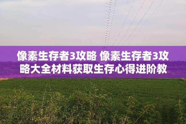 像素生存者3攻略 像素生存者3攻略大全材料获取生存心得进阶教学