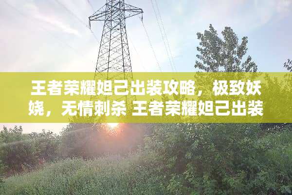 王者荣耀妲己出装攻略，极致妖娆，无情刺杀 王者荣耀妲己出装攻略
