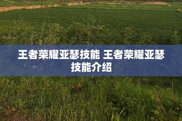 王者荣耀亚瑟技能 王者荣耀亚瑟技能介绍