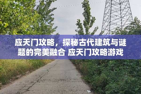 应天门攻略，探秘古代建筑与谜题的完美融合 应天门攻略游戏