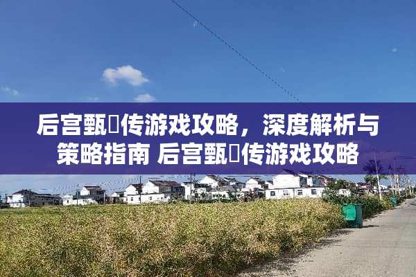 后宫甄嬛传游戏攻略，深度解析与策略指南 后宫甄嬛传游戏攻略