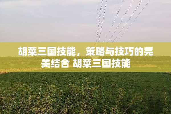 胡菜三国技能，策略与技巧的完美结合 胡菜三国技能
