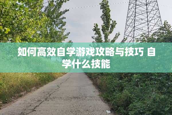 如何高效自学游戏攻略与技巧 自学什么技能