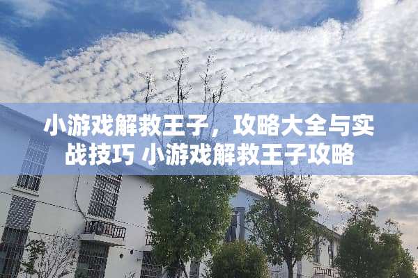 小游戏解救王子，攻略大全与实战技巧 小游戏解救王子攻略