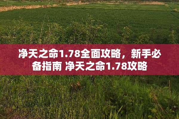 净天之命1.78全面攻略，新手必备指南 净天之命1.78攻略