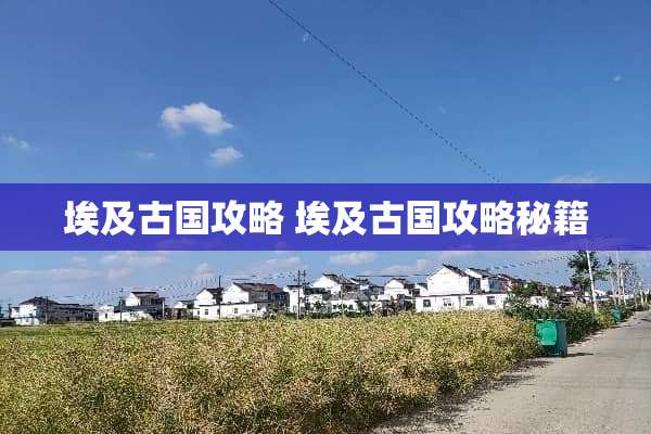 埃及古国攻略 埃及古国攻略秘籍