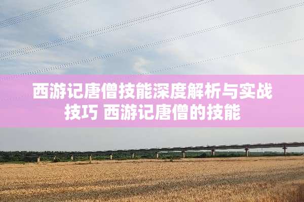 西游记唐僧技能深度解析与实战技巧 西游记唐僧的技能