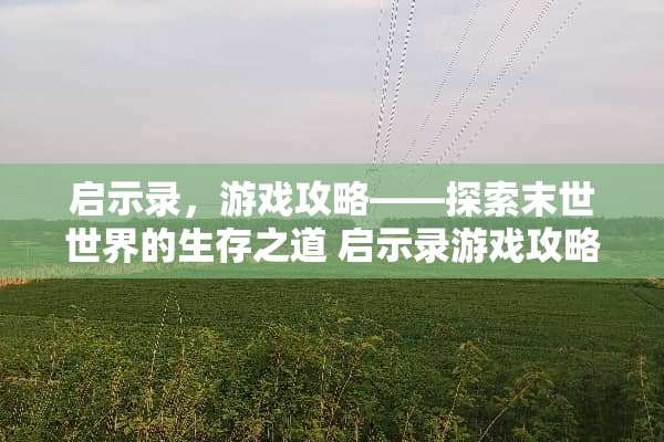 启示录，游戏攻略——探索末世世界的生存之道 启示录游戏攻略