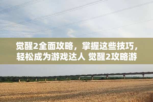 觉醒2全面攻略，掌握这些技巧，轻松成为游戏达人 觉醒2攻略游戏