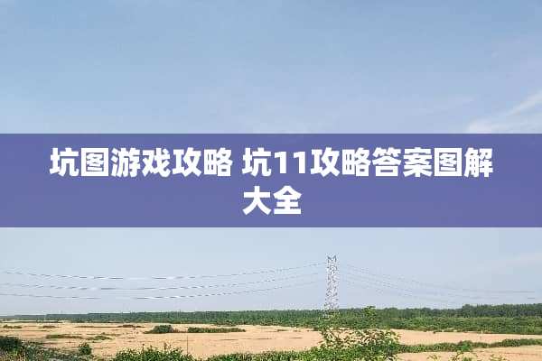 坑图游戏攻略 坑11攻略答案图解大全