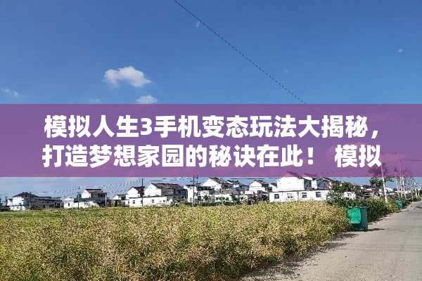 模拟人生3手机变态玩法大揭秘，打造梦想家园的秘诀在此！ 模拟人生3手机变态玩法