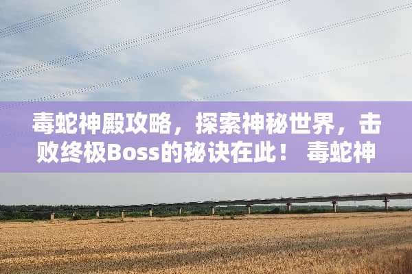 毒蛇神殿攻略，探索神秘世界，击败终极Boss的秘诀在此！ 毒蛇神殿攻略