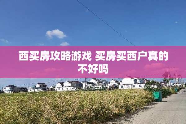 西买房攻略游戏 买房买西户真的不好吗