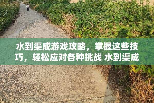 水到渠成游戏攻略，掌握这些技巧，轻松应对各种挑战 水到渠成游戏攻略7