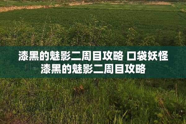 漆黑的魅影二周目攻略 口袋妖怪漆黑的魅影二周目攻略