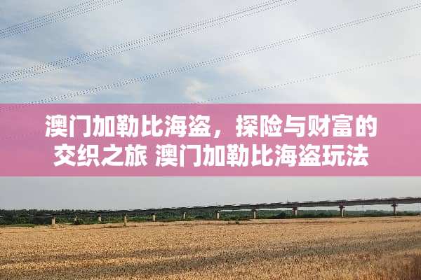 **加勒比海盗，探险与财富的交织之旅 **加勒比海盗玩法